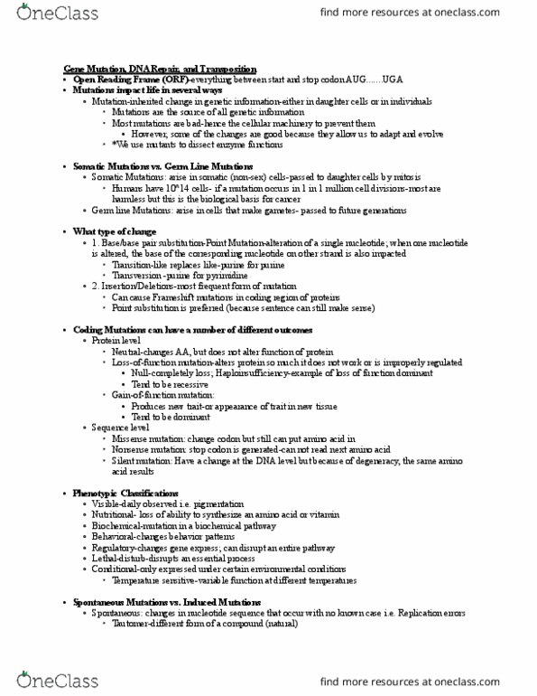 GEN-3000 Lecture Notes - Lecture 14: Open Reading Frame, Missense Mutation, Nonsense Mutation thumbnail