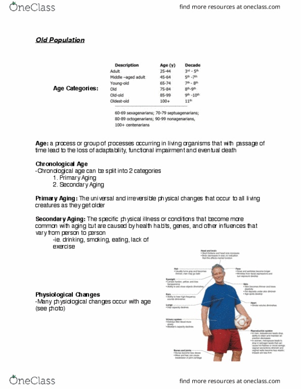 Kinesiology 2962A/B Lecture Notes - Lecture 5: Sensory System, Motor System, One-Repetition Maximum thumbnail