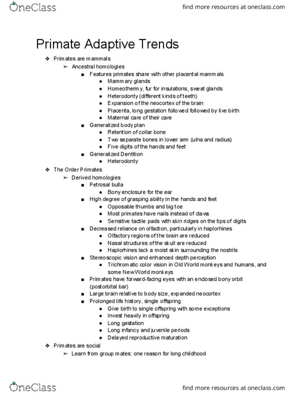 ANTH 1001 Lecture Notes - Lecture 11: Trichromacy, Postorbital Bar, Haplorhini thumbnail