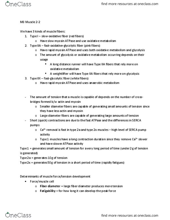 PHSI 208 Lecture Notes - Lecture 20: Long-Distance Running, Cellular Respiration, Serca thumbnail