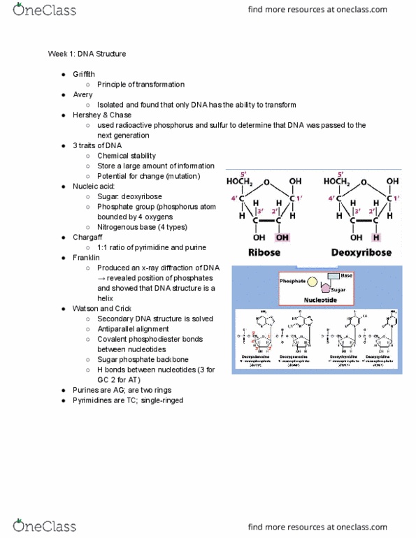 MCB 2400 Lecture 1: Week 1 DNA Structure thumbnail