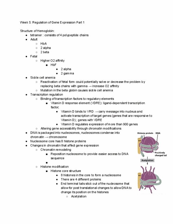 MCB 2400 Lecture 5: Week 5 Regulation of Gene Expression thumbnail