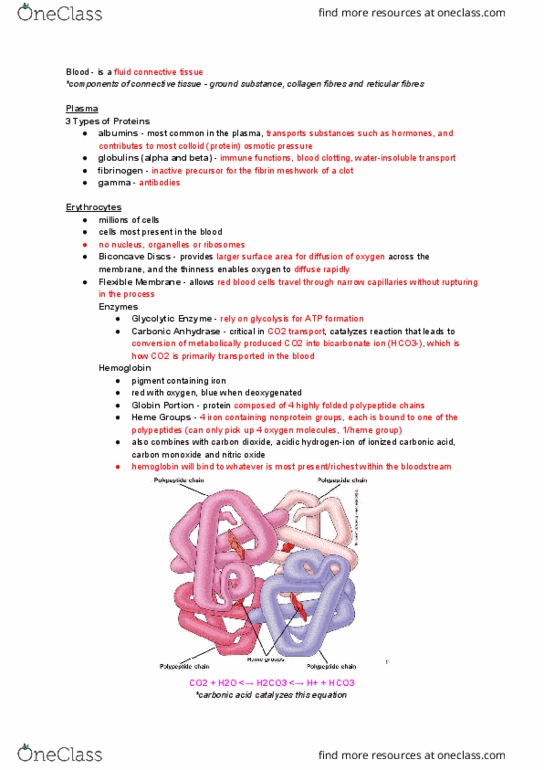 NURS 106 Lecture Notes - Lecture 25: Ground Substance, Fibrinogen, Fibrin thumbnail