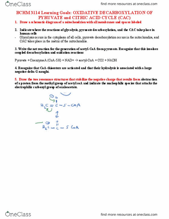 BCHM 3114 Lecture Notes - Lecture 10: Pyruvate Dehydrogenase, Acetyl-Coa, Decarboxylation thumbnail