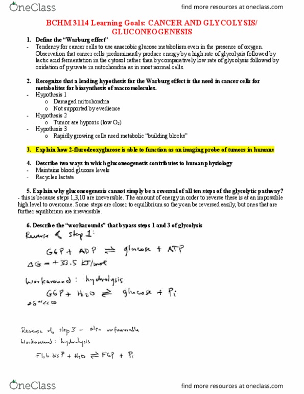 BCHM 3114 Lecture Notes - Lecture 7: Gluconeogenesis, Blood Sugar, Pyruvic Acid thumbnail