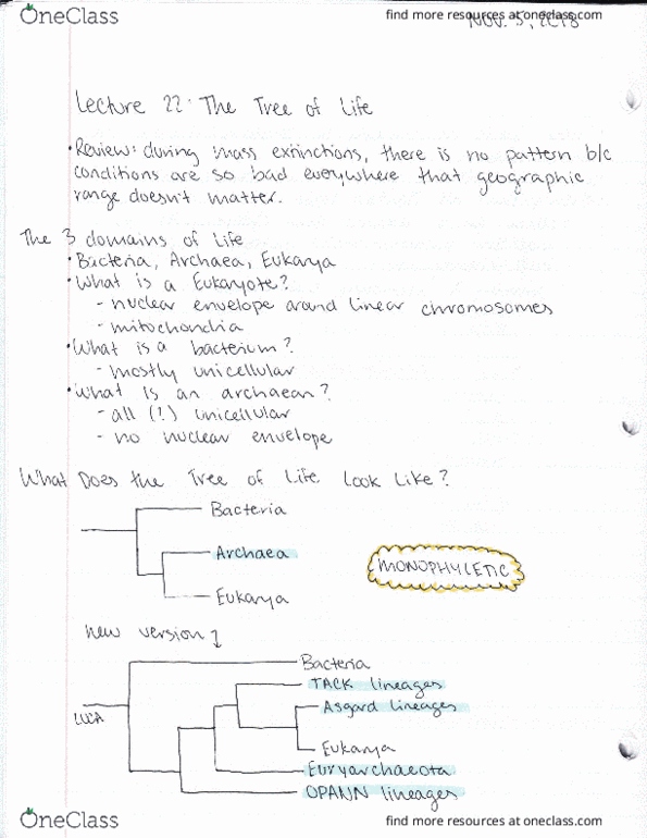BIOL 180 Lecture Notes - Lecture 22: Archaea, Chloroplast cover image