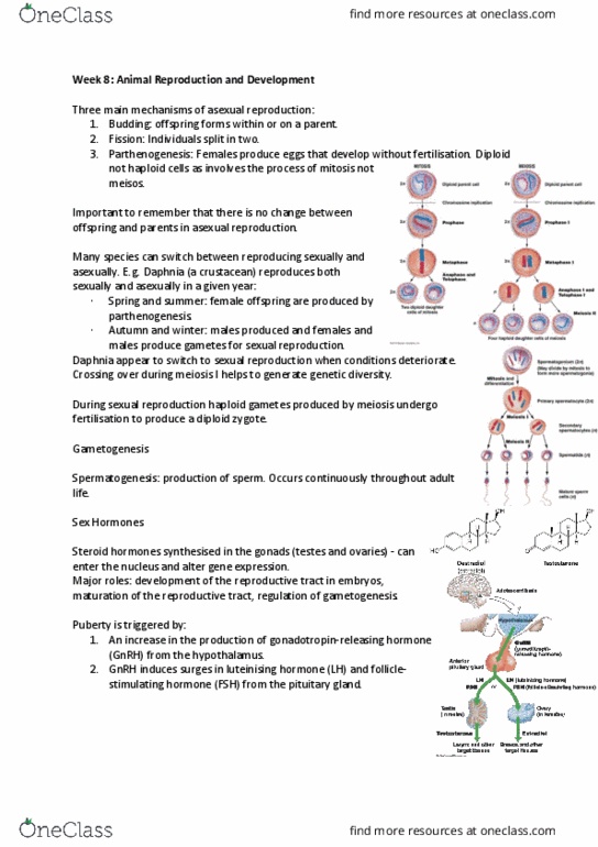 BIOL1002 Lecture Notes - Lecture 8: Gametogenesis, Parthenogenesis, Crustacean thumbnail