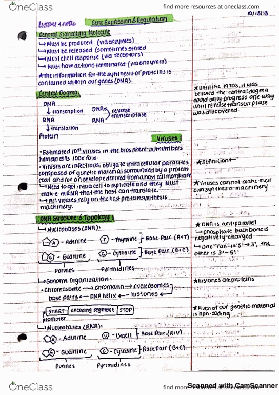 HTHSCI 1I06 Lecture 4: HTHSCI 1I06 - LECTURE 4 - GENE EXPRESSION AND REGULATION thumbnail