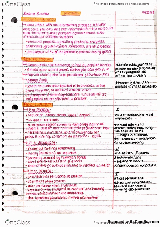 HTHSCI 1I06 Lecture 5: HTHSCI 1I06 - LECTURE 5 - PROTEINS thumbnail