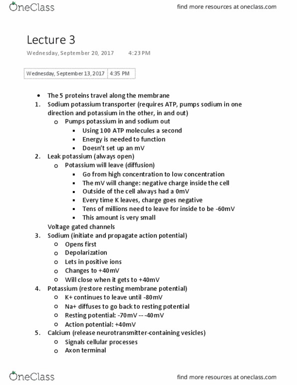 PSYC 211 Lecture Notes - Lecture 3: Resting Potential thumbnail