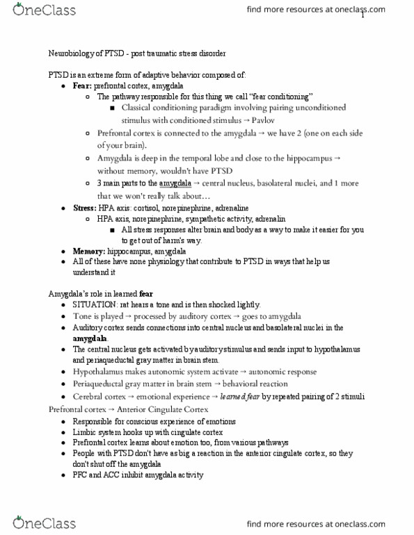 PSYC3338 Lecture Notes - Lecture 18: Periaqueductal Gray, Posttraumatic Stress Disorder, Prefrontal Cortex thumbnail