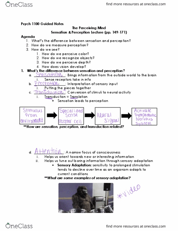 PSYCH 1100 Lecture 6: Sensation and Perception Guided Notes thumbnail