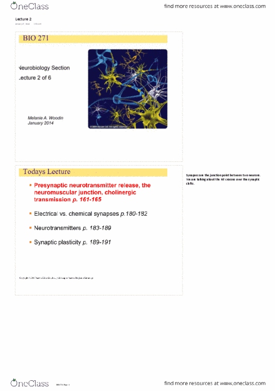 BIO271H1 Lecture Notes - Lecture 2: Neuroplasticity, Connexon, Mesolimbic Pathway thumbnail