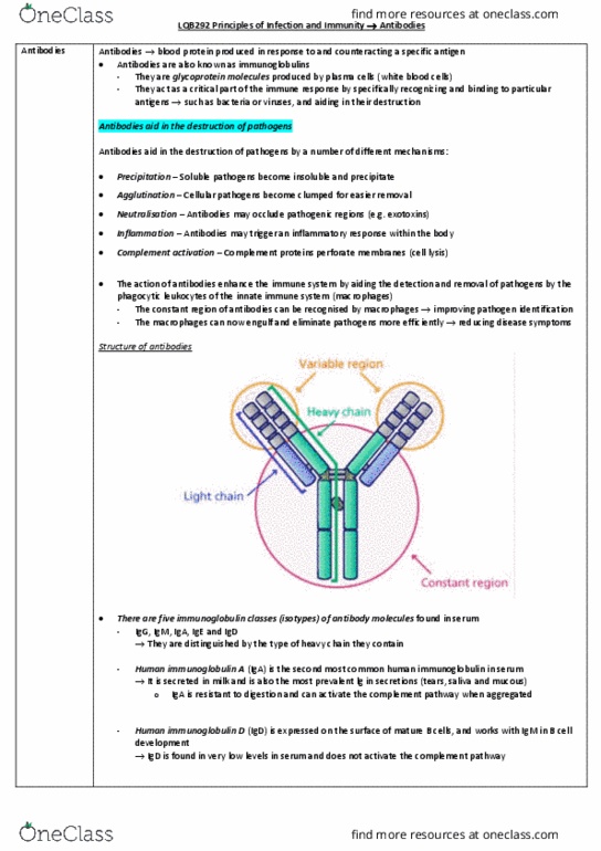 LQB292 Lecture 9: Antibodies thumbnail