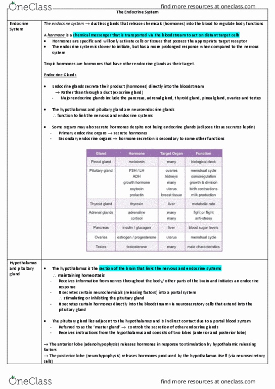 LSB258 Lecture Notes - Lecture 2: Insulin, Estrogen, Thymosin thumbnail