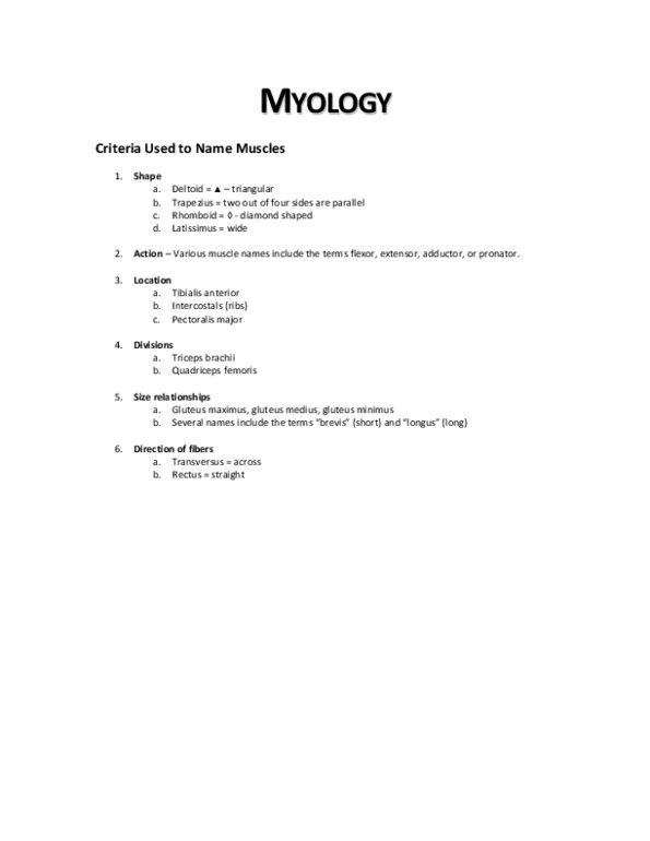 BPK 142 Chapter : Myology thumbnail