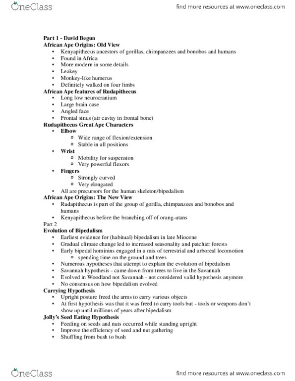 ANT203Y1 Lecture Notes - Lecture 13: Pelvis thumbnail