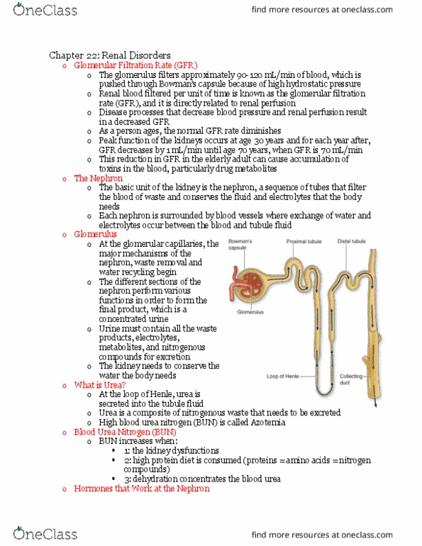 NUR230 Chapter Notes - Chapter 22: High-Protein Diet, Nephron, Azotemia thumbnail