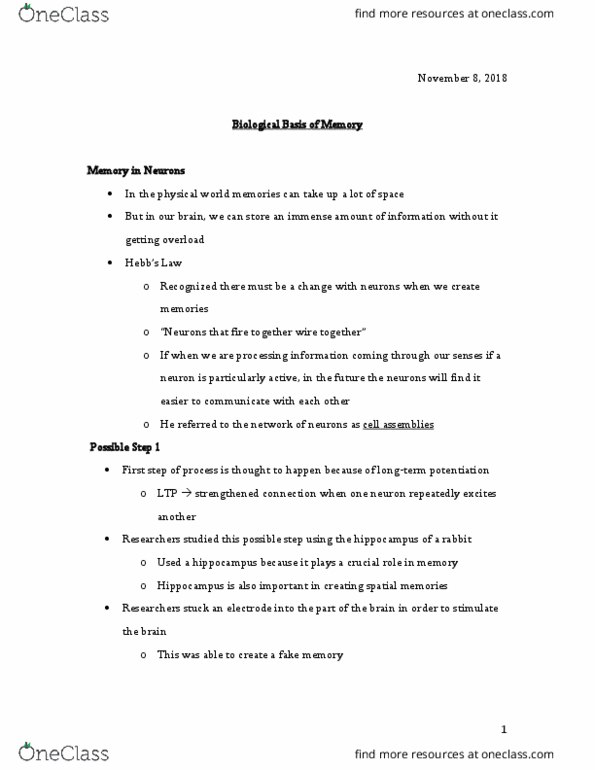 PSYO 1011 Lecture Notes - Lecture 20: Spatial Memory, Temporal Lobe, Grid Cell cover image