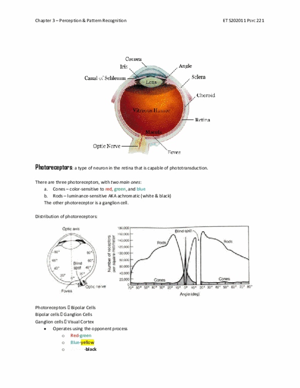 document preview image