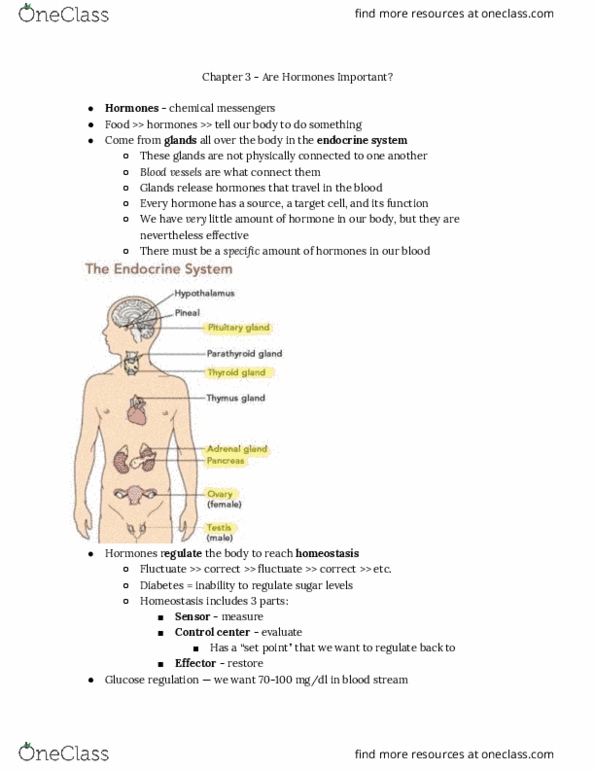 PHYSCI 5 Chapter Notes - Chapter 3: Endocrine System, Homeostasis, Adrenal Cortex thumbnail