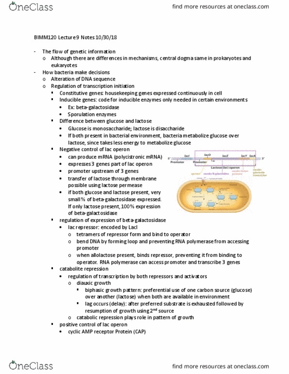 BIMM 120 Lecture Notes - Lecture 8: Camp Receptor Protein, Lac Operon, Lactose Permease thumbnail