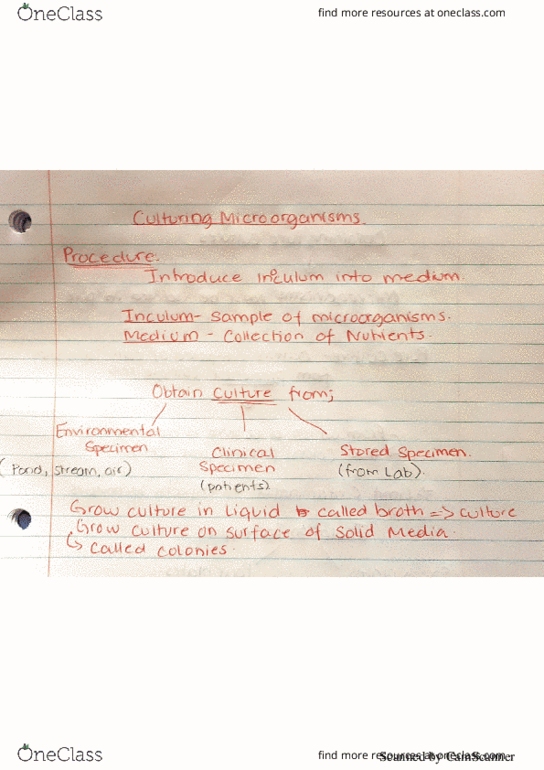 BIOL 2905 Lecture 6: Culturing Microorganisms thumbnail