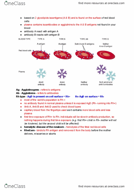 NURS 106 Lecture Notes - Lecture 26: Hemolysis, Antigen, Glycolipid thumbnail