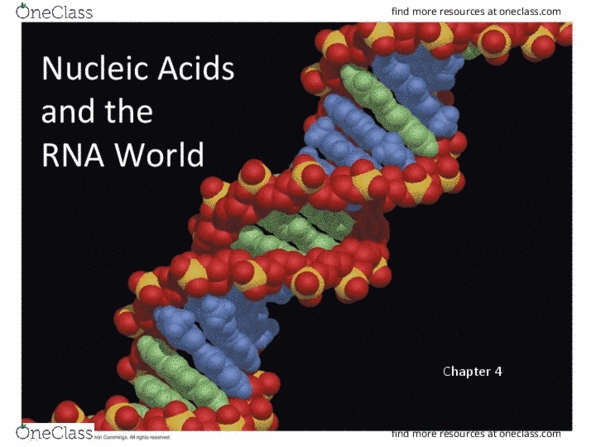 POLI1041 Chapter Notes - Chapter 4: Semiconservative Replication, Hydrolysis, Sidney Altman thumbnail