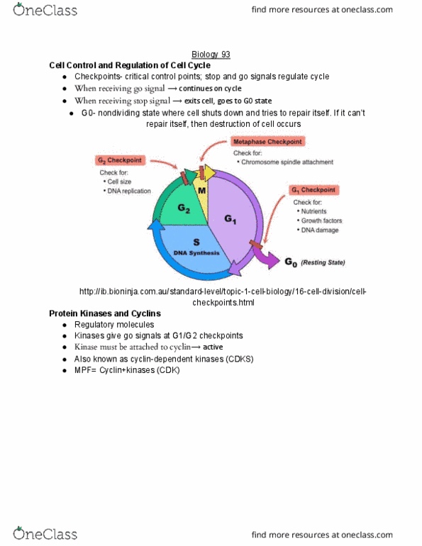 BIO SCI 93 Lecture Notes - Lecture 19: Dna Replication, Cell Cycle, Oncogene thumbnail