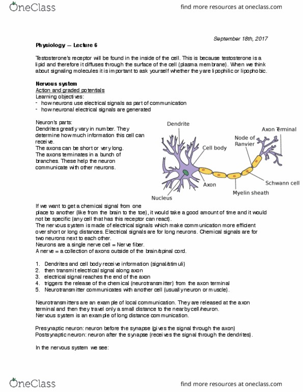 CAS BI 211 Lecture Notes - Lecture 6: Axon Terminal, Lipophobicity, Lipophilicity thumbnail