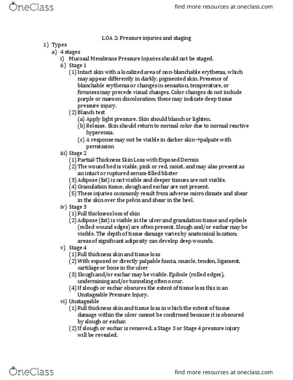 NURSE-UN 240 Lecture Notes - Lecture 2: Eschar, Granulation Tissue, Hyperaemia thumbnail