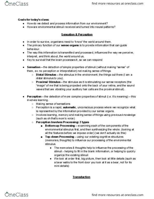 PSYC 1001 Lecture Notes - Lecture 4: Hair Cell, Retina, Rhodopsin thumbnail