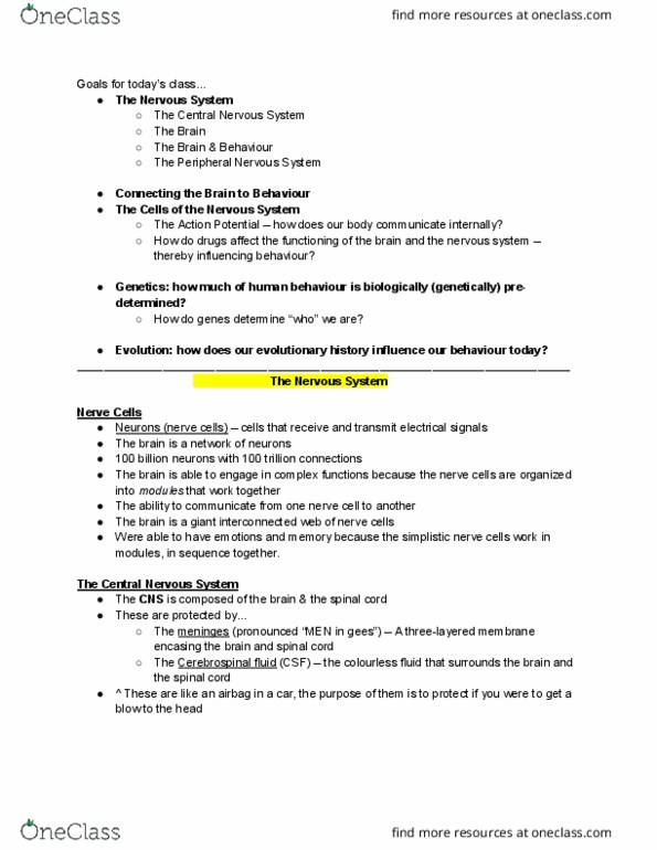 PSYC 1001 Lecture Notes - Lecture 3: Peripheral Nervous System, Central Nervous System, Cerebrospinal Fluid thumbnail