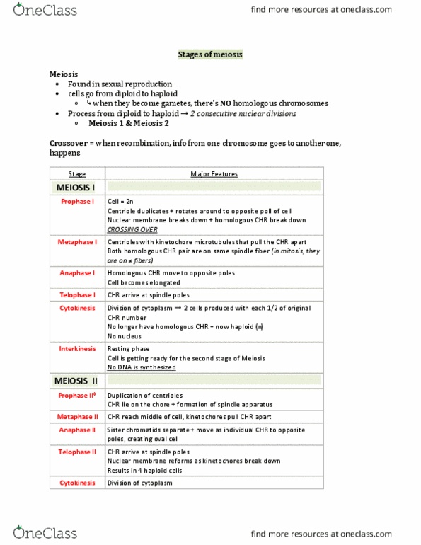 AEBI 120 Lecture Notes - Lecture 14: Spindle Apparatus, Nuclear Membrane, Kinetochore thumbnail