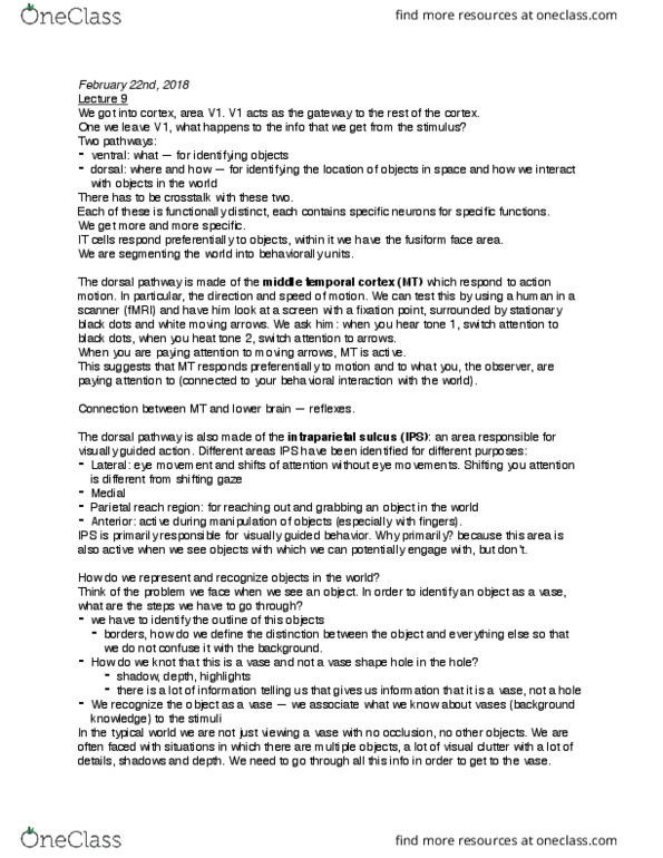 CAS PS 222 Lecture Notes - Lecture 9: Intraparietal Sulcus, Fusiform Face Area, Temporal Lobe thumbnail