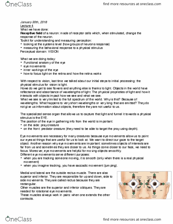 CAS PS 222 Lecture Notes - Lecture 4: Inferior Rectus Muscle, Medial Rectus Muscle, Lateral Rectus Muscle thumbnail