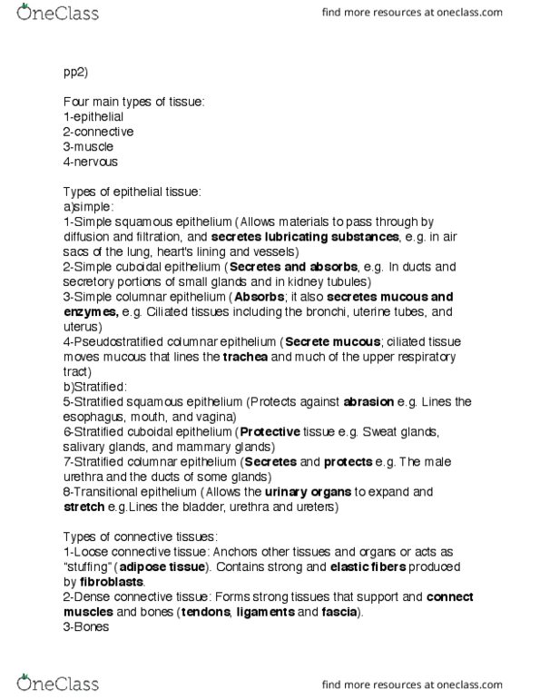 BIOL 2001 Lecture Notes - Lecture 2: Respiratory Tract, Adipose Tissue, Nephron thumbnail