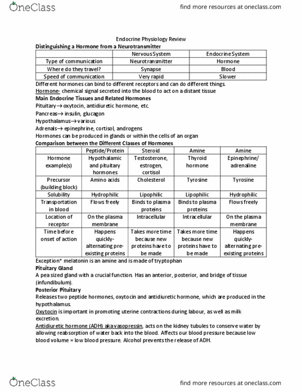 Physiology 1021 Lecture Notes - Lecture 18: Pituitary Gland, Anterior Pituitary, Nephron thumbnail