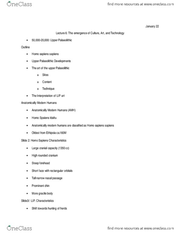 ANT 2113 Lecture Notes - Chauvet Cave, Biotite thumbnail