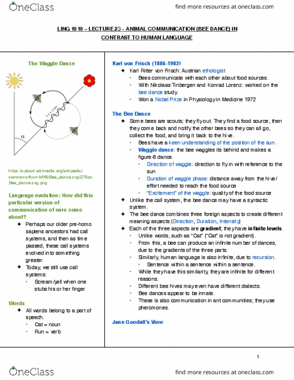 LING 1010 Lecture Notes - Lecture 23: Karl Von Frisch, Nikolaas Tinbergen, Bee Hives thumbnail