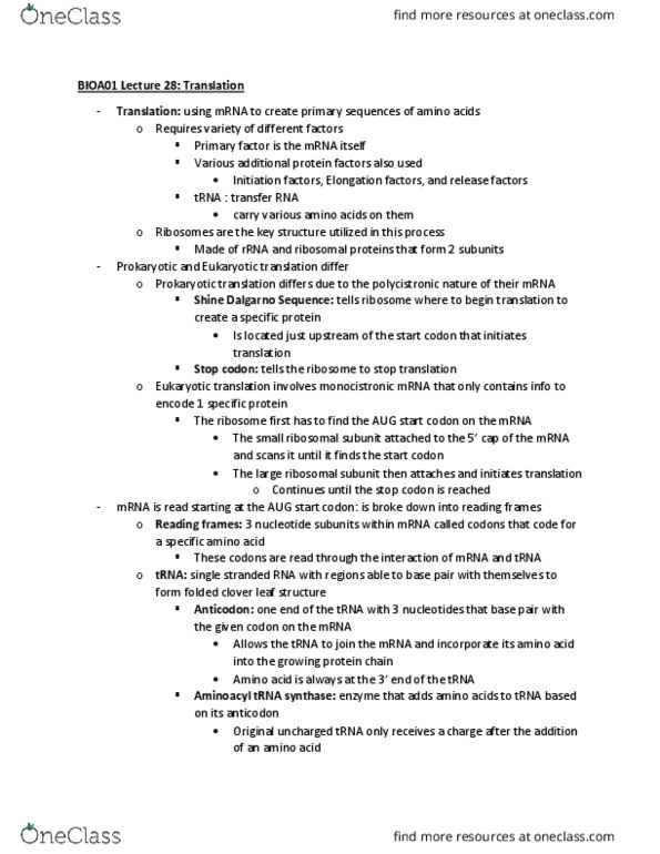 BIOA01H3 Lecture Notes - Lecture 31: Stop Codon, Eukaryotic Translation, Start Codon thumbnail