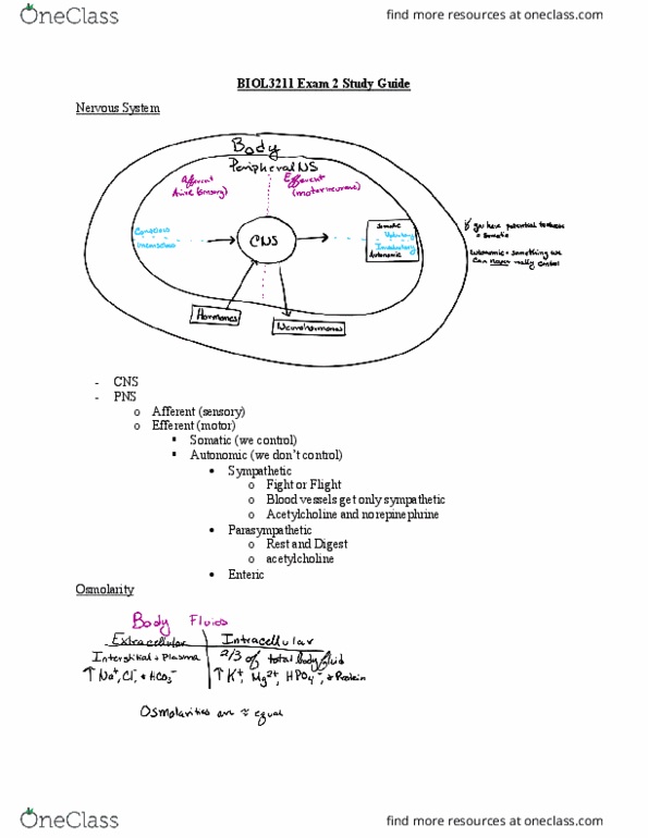 document preview image