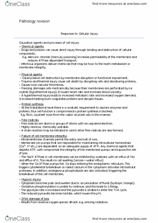 300816 Lecture Notes - Lecture 4: Ricinus, Mercury Poisoning, Endoplasmic Reticulum thumbnail