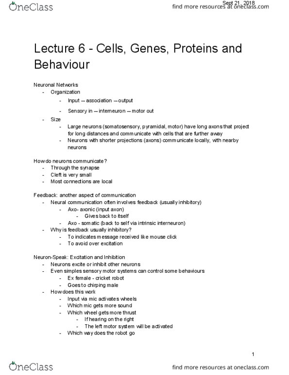 PSY 2301 Lecture Notes - Lecture 6: Motor System, Microtubule, Schwann Cell thumbnail