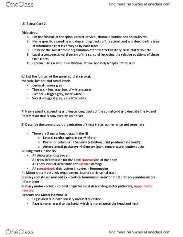 ACB 334 Lecture Notes - Lecture 6: Lateral Corticospinal Tract, Primary Motor Cortex, Corticospinal Tract thumbnail