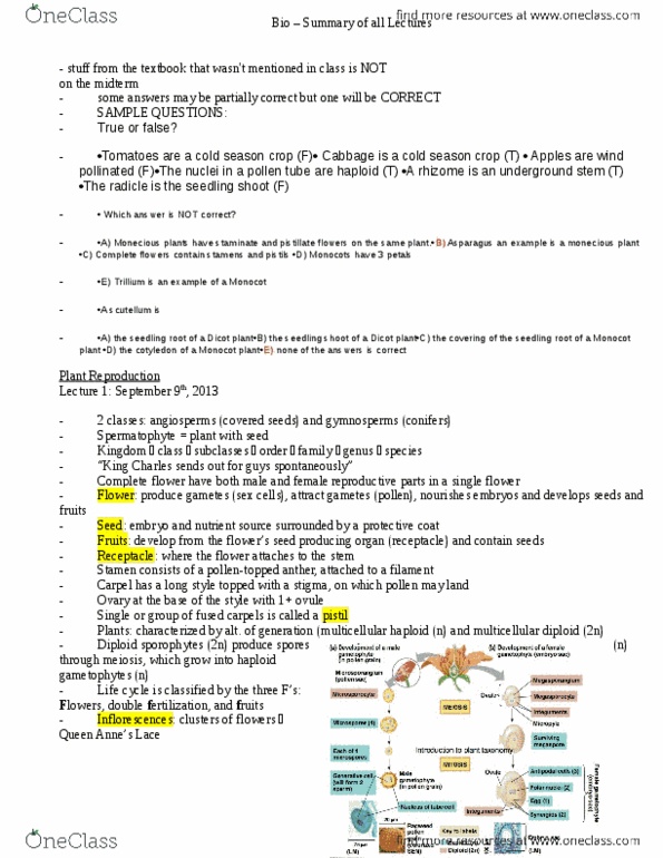 BIOL 1050 Study Guide - Fall 2013, Final - Hindgut, Glycolysis, Leucine