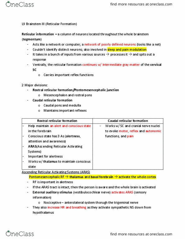 ACB 334 Lecture Notes - Lecture 9: Cranial Nerve Nucleus, Vestibulocochlear Nerve, Reticular Formation thumbnail