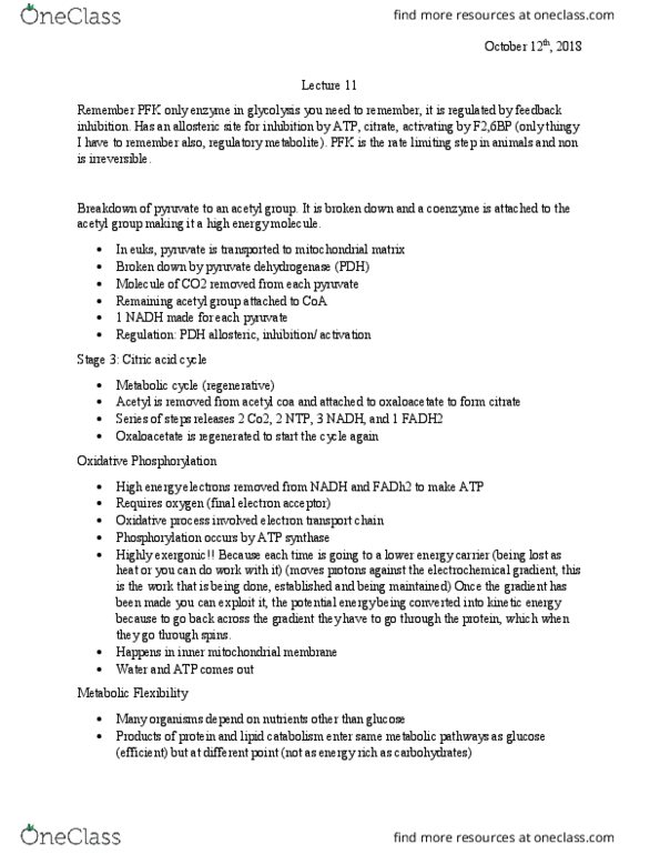 BIOL 102 Lecture Notes - Lecture 11: Pyruvate Dehydrogenase, Acetyl-Coa, Atp Synthase thumbnail