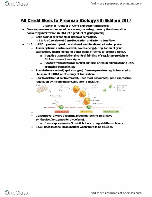 BIOLOGY 1113 Lecture Notes - Lecture 37: Gene Expression, Escherichia Coli, Disaccharide thumbnail